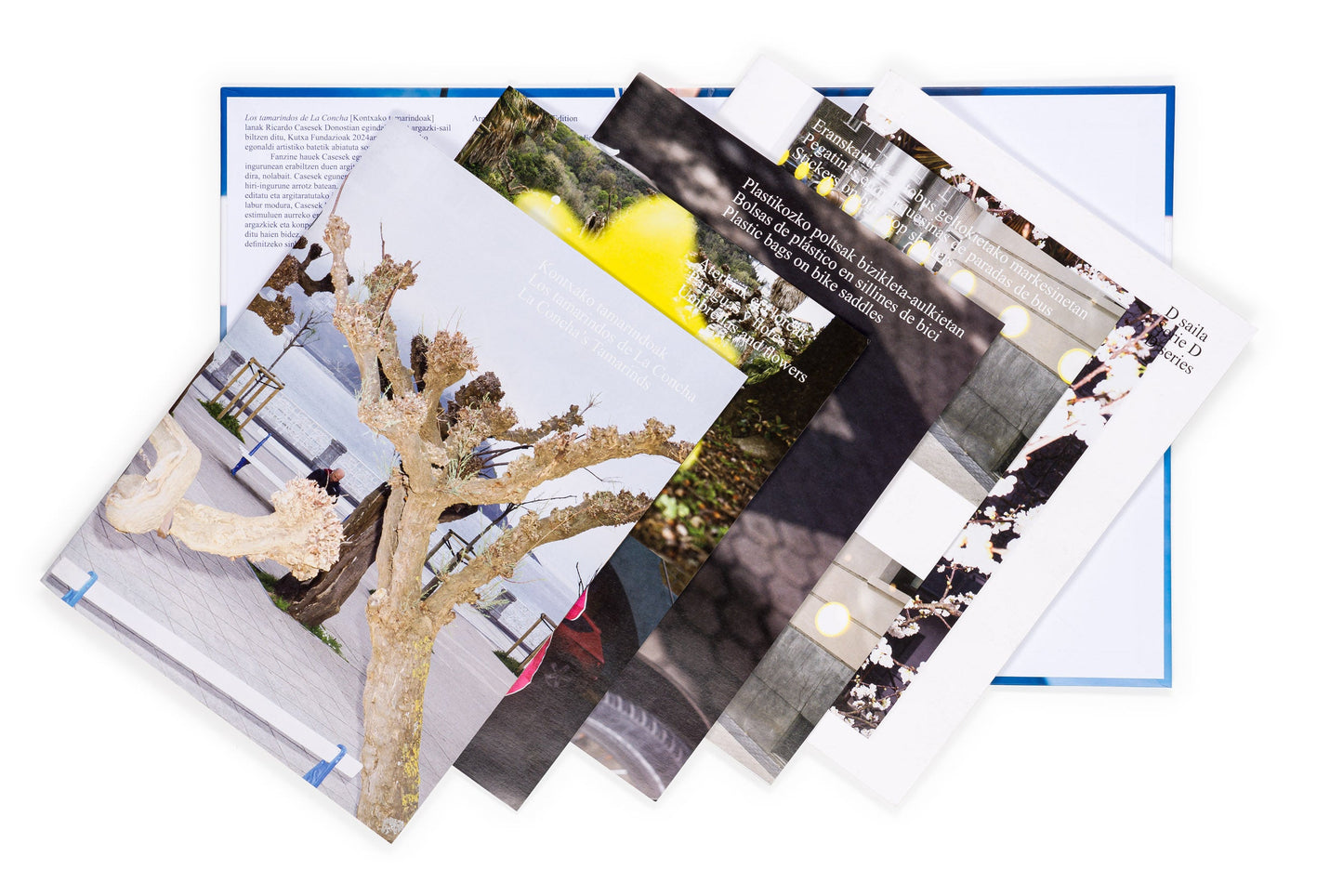 Los tamarindos de La Concha (Ricardo Cases, Orihuela, 1971)