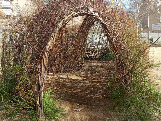 REFUGIOS CLIMÁTICOS en Barcelona, Mallorca