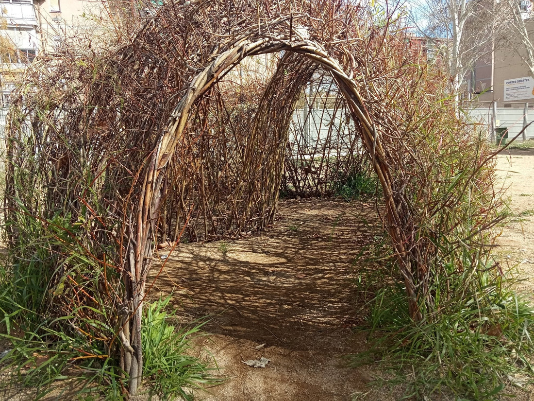 REFUGIOS CLIMÁTICOS en Barcelona, Mallorca