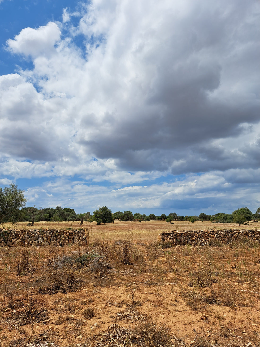 RUTAS en Baleares, Cataluña, Occitanía