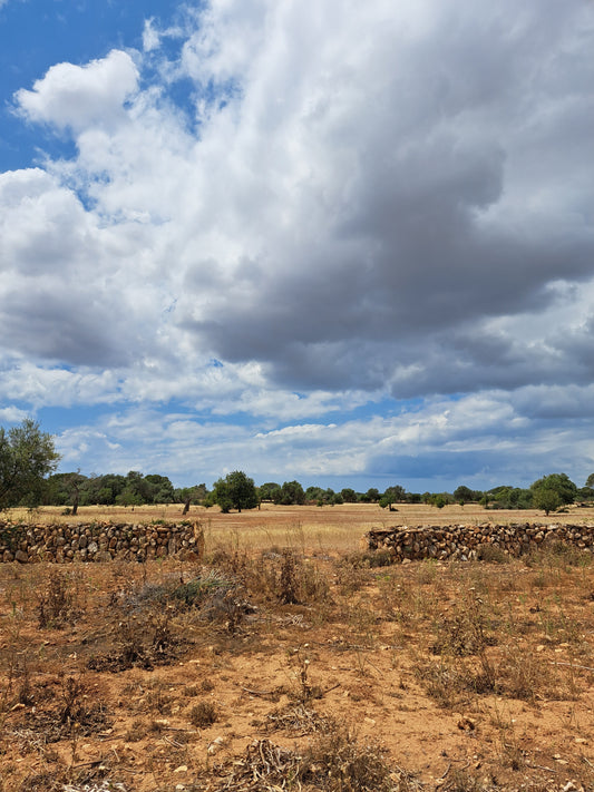 RUTAS en Baleares, Cataluña, Occitanía
