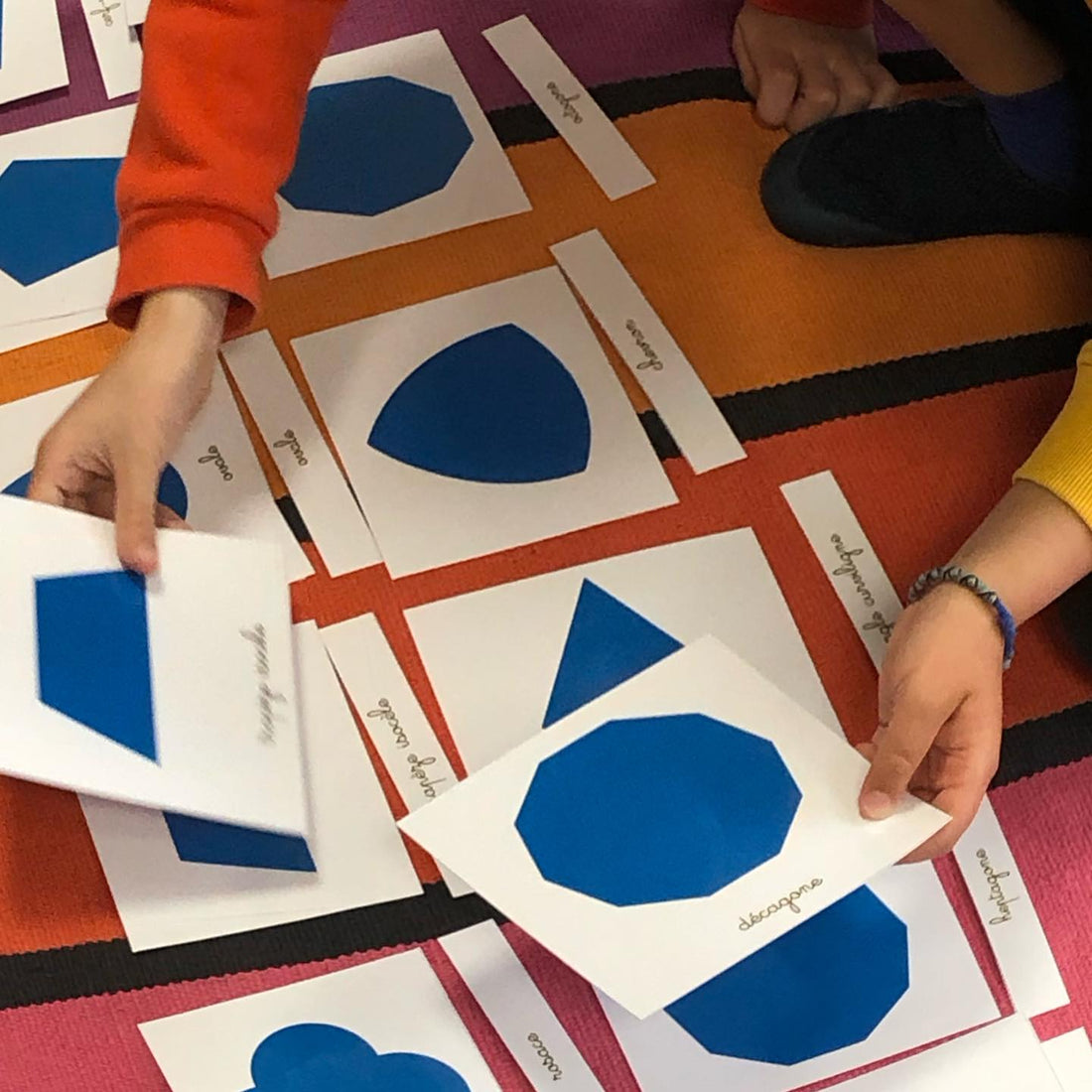 ALTAS CAPACIDADES (AACC) en Occitanía