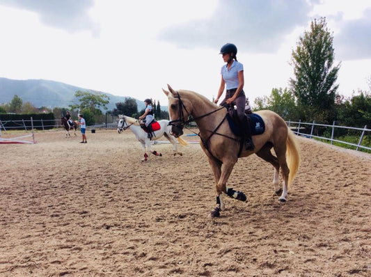 EQUITACIÓN en Baleares