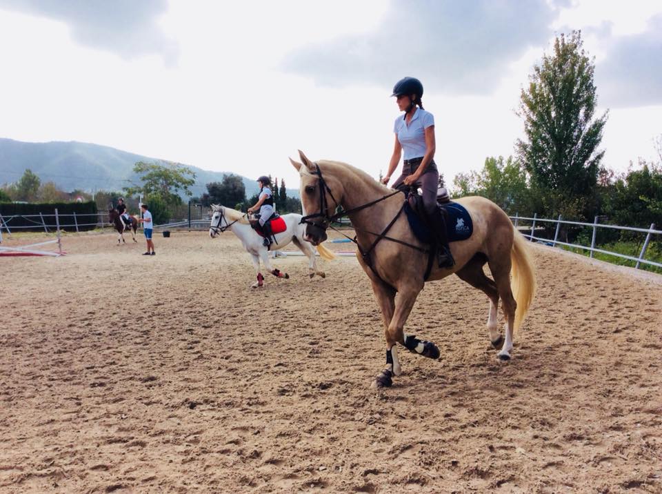 EQUITACIÓN en Baleares