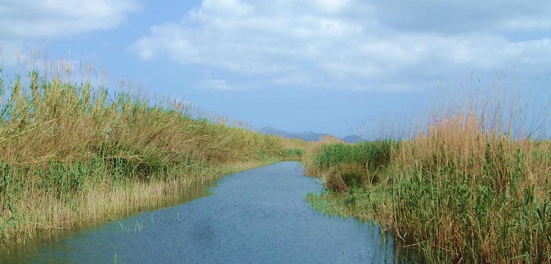 PARQUES en Occitanía, Baleares, Cataluña
