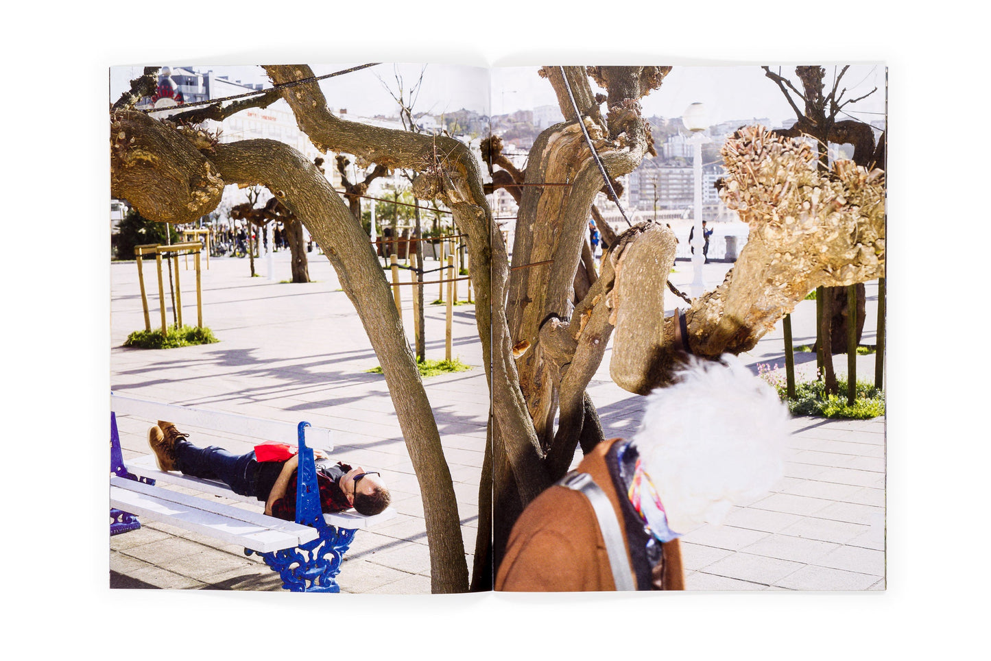 Los tamarindos de La Concha (Ricardo Cases, Orihuela, 1971)