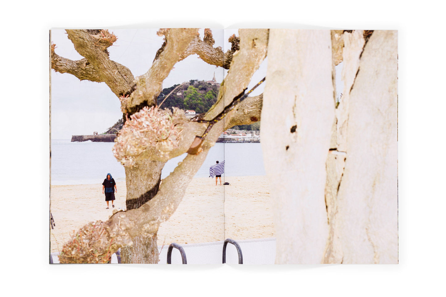 Los tamarindos de La Concha (Ricardo Cases, Orihuela, 1971)