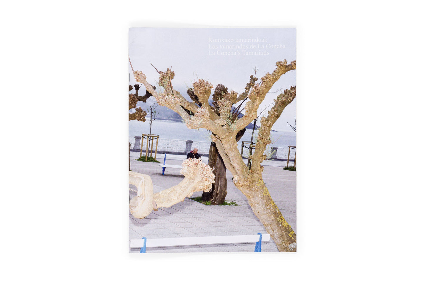 Los tamarindos de La Concha (Ricardo Cases, Orihuela, 1971)