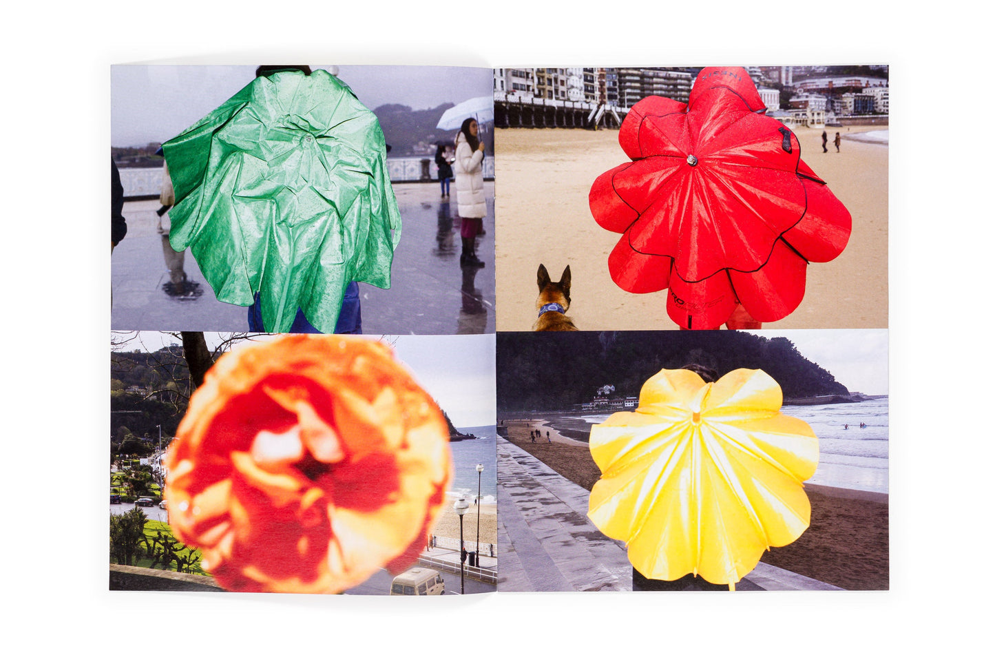 Los tamarindos de La Concha (Ricardo Cases, Orihuela, 1971)