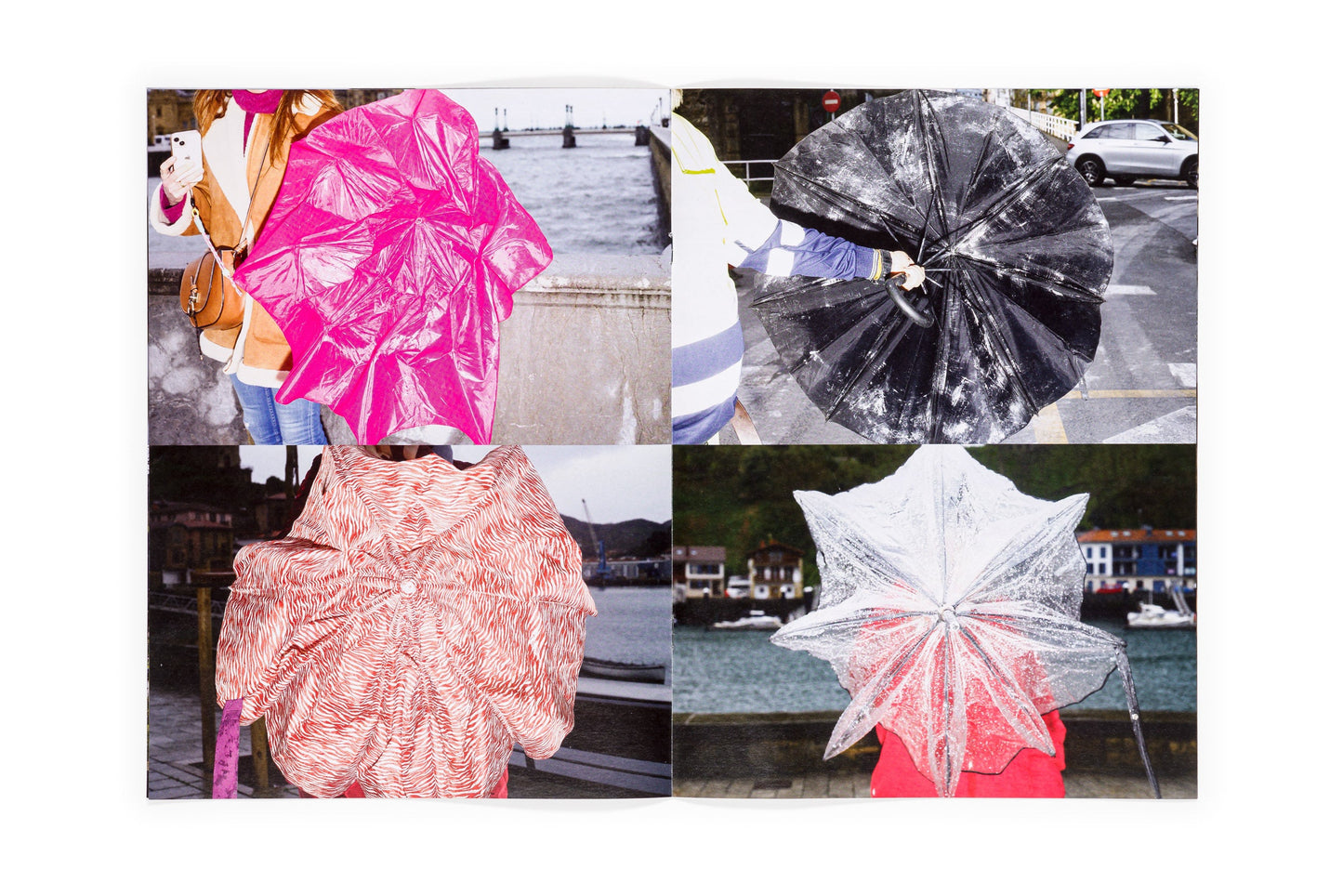 Los tamarindos de La Concha (Ricardo Cases, Orihuela, 1971)