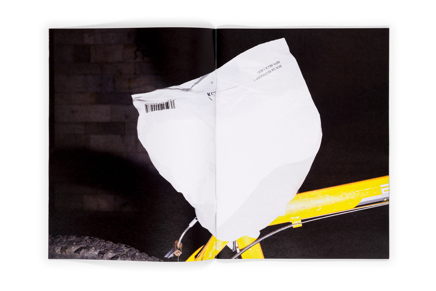 Los tamarindos de La Concha (Ricardo Cases, Orihuela, 1971)