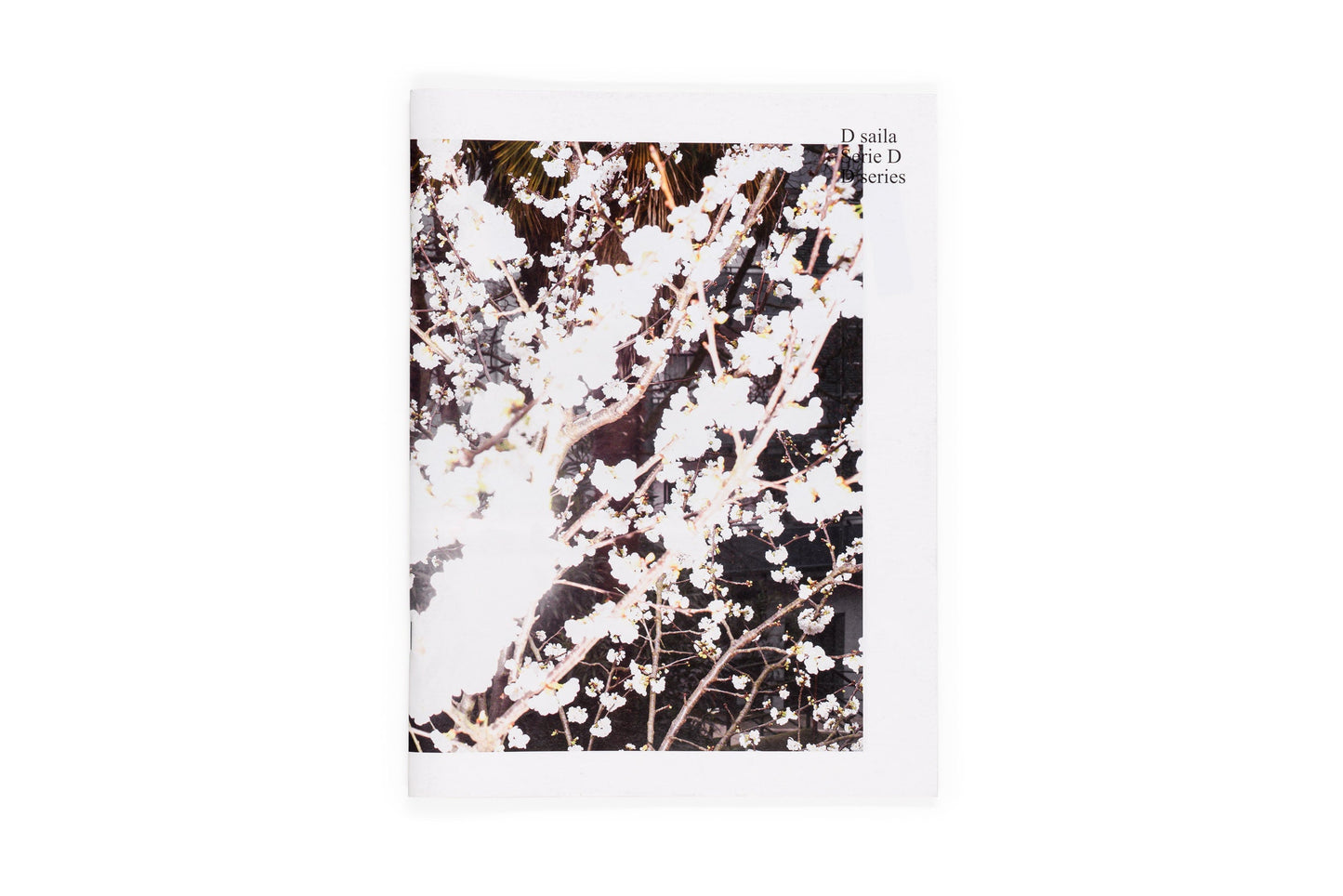 Los tamarindos de La Concha (Ricardo Cases, Orihuela, 1971)