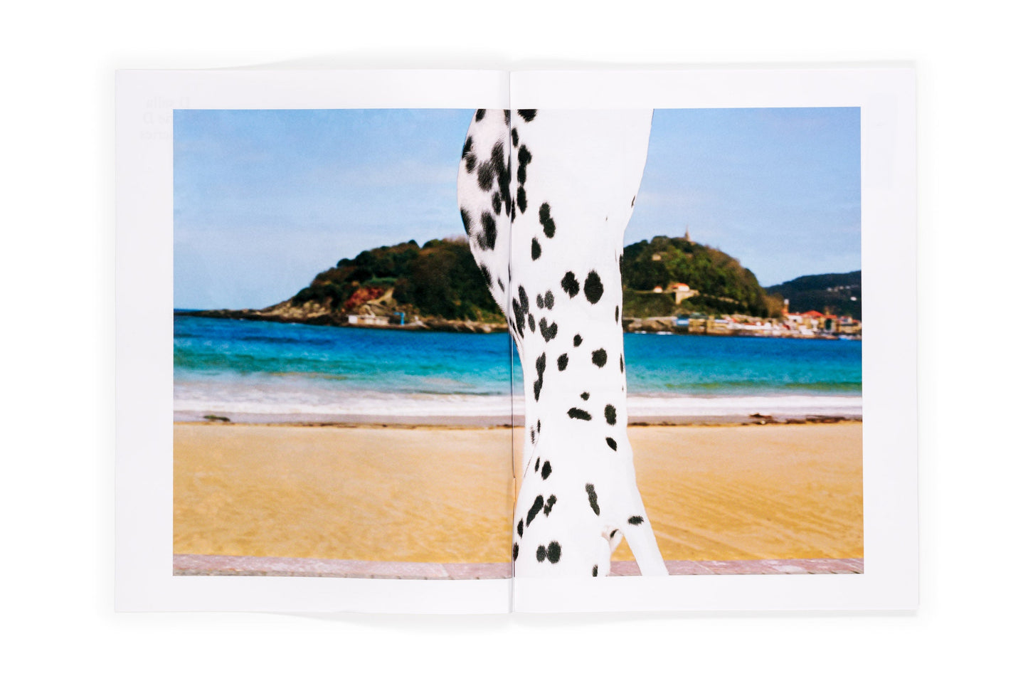 Los tamarindos de La Concha (Ricardo Cases, Orihuela, 1971)