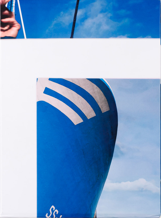 Los tamarindos de La Concha (Ricardo Cases, Orihuela, 1971)